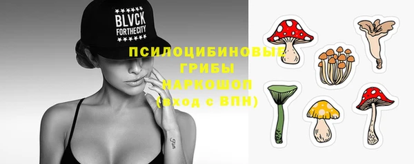 apvp Абаза