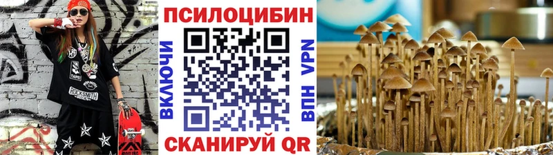 Галлюциногенные грибы Psilocybine cubensis даркнет сайт Кинешма